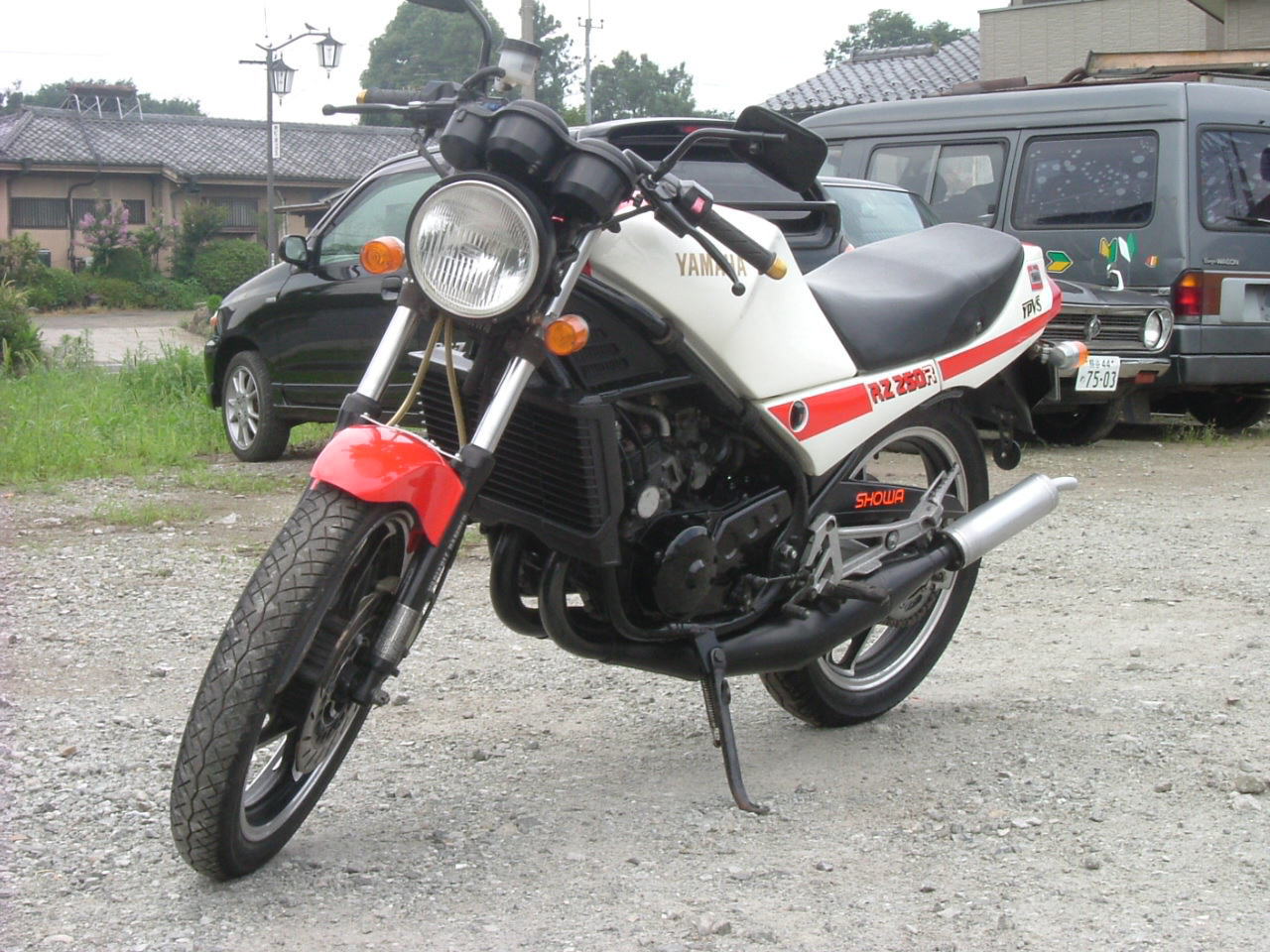 RZ250R